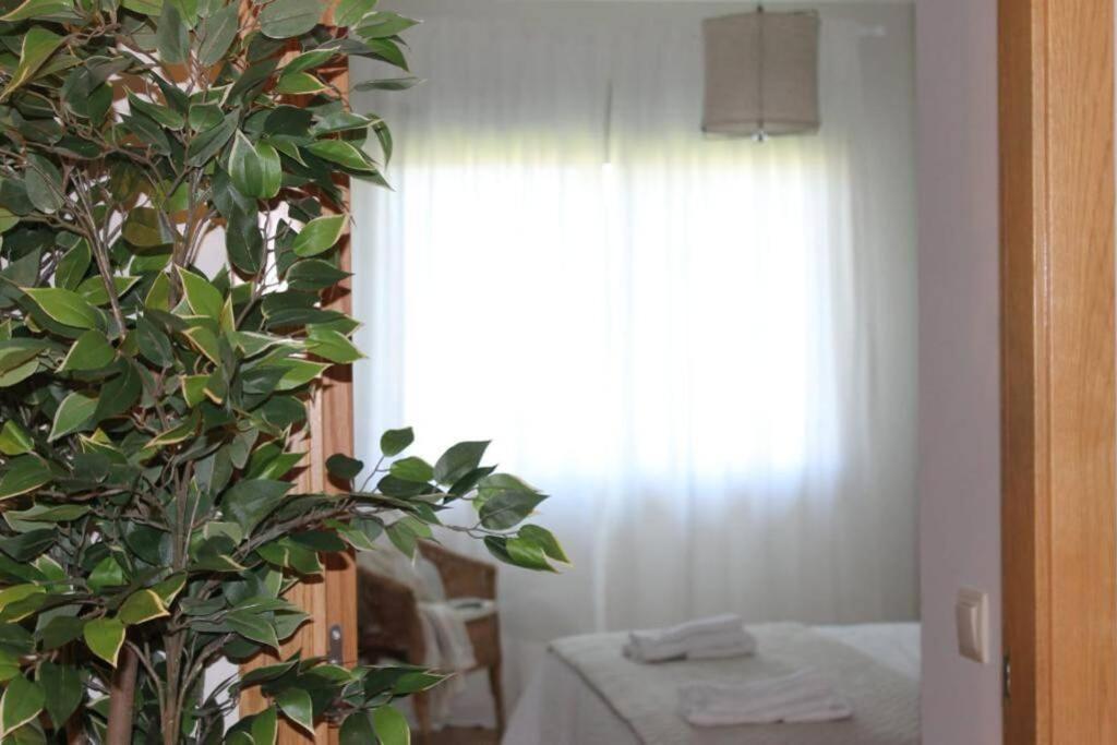 Ribadumia Apartamento Riomar מראה חיצוני תמונה